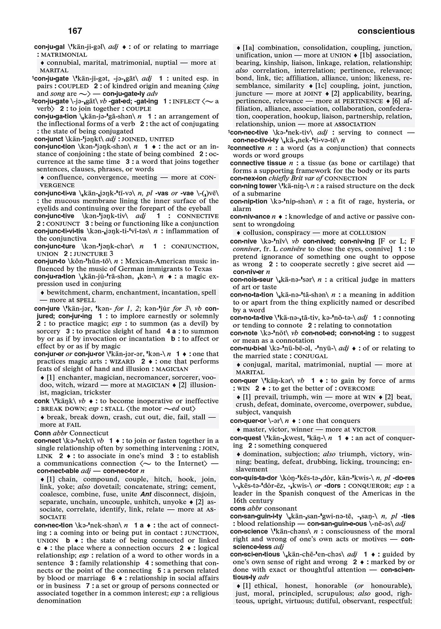 Merriam-Webster's Dictionary and Thesaurus sample page