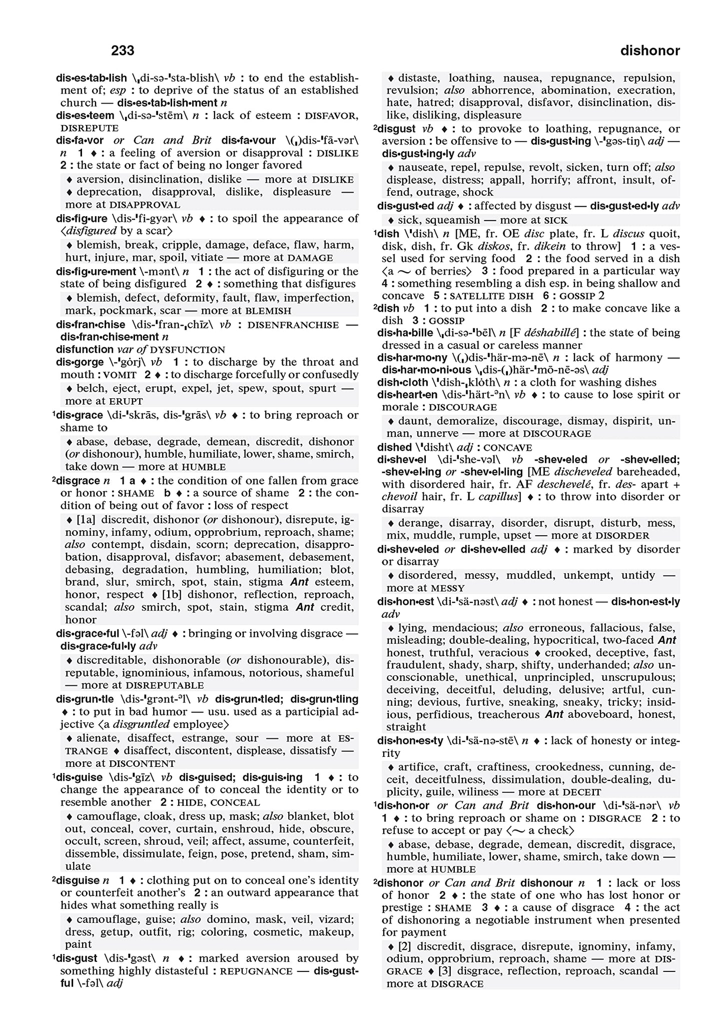 Merriam-Webster's Dictionary and Thesaurus sample page