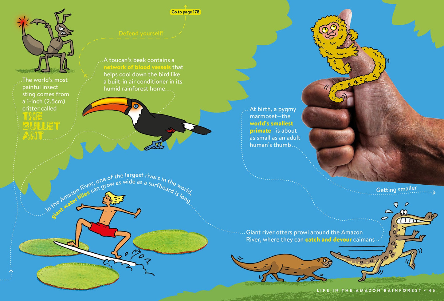Example spread from Epic FACTopia! featuring facts about life in the amazon rainforest.