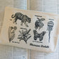 Image of a cotton zip pouch with hand-drawn illustrations of plants and animals paired with their headword, with the Merriam-Webster vintage logo in the lower right.