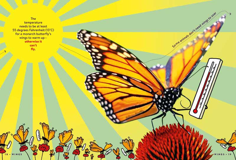 A spread from Animal FACTopia! with a fact about butterfly wings and a large illustration of a butterfly.
