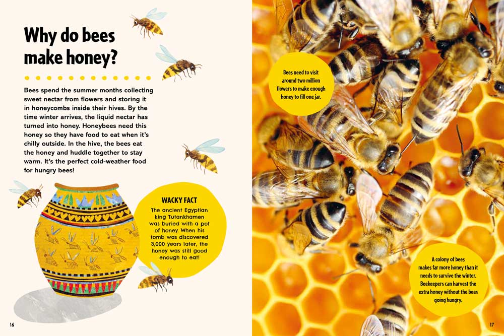 A beautifully illustrated spread from Britannica's First Big Book of Why about why bees make honey.