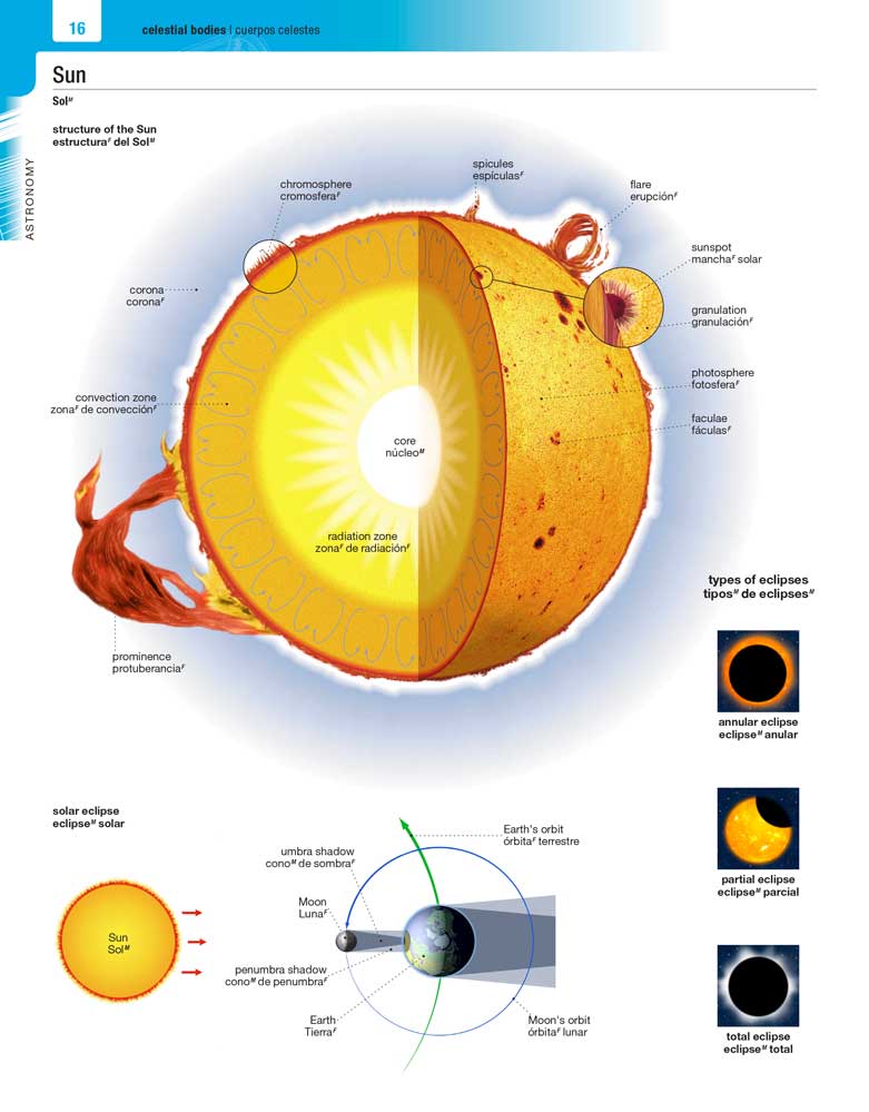 Merriam-Webster's Spanish-English Visual Dictionary page 16