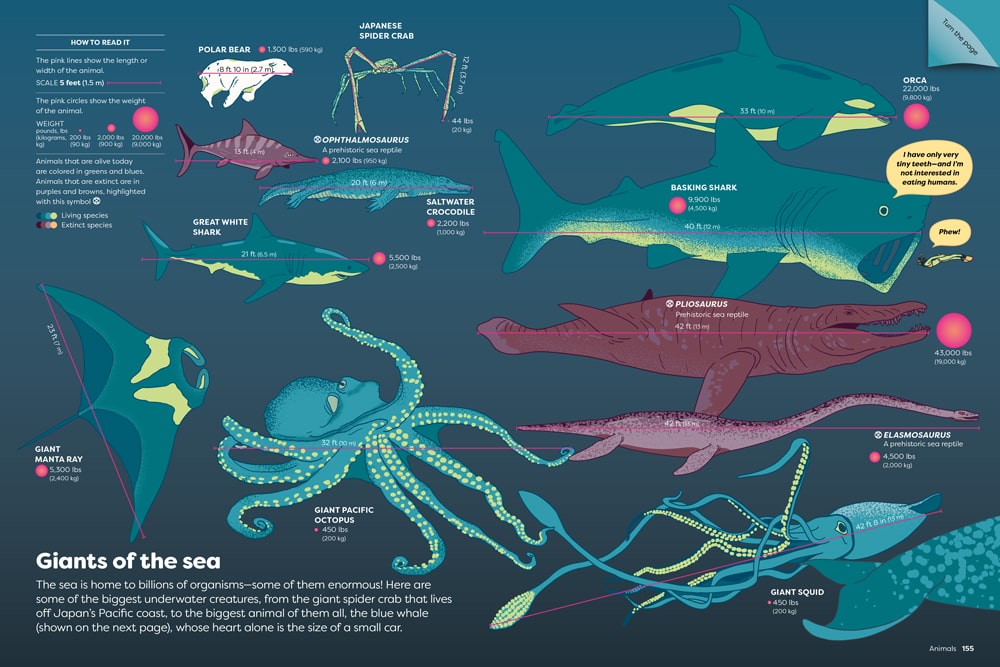 Interior spread from Britannica's Encyclopedia Infographica with facts about sea animals.