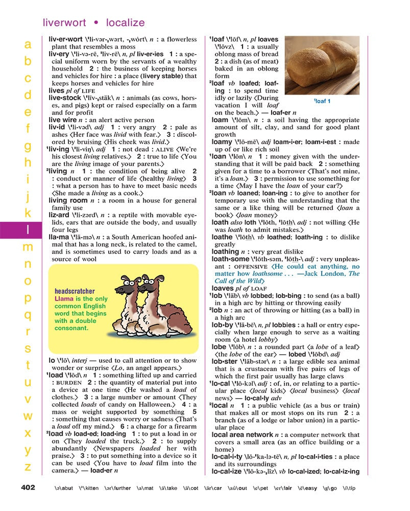 Merriam-Webster’s Elementary Dictionary, Newest Edition – Merriam