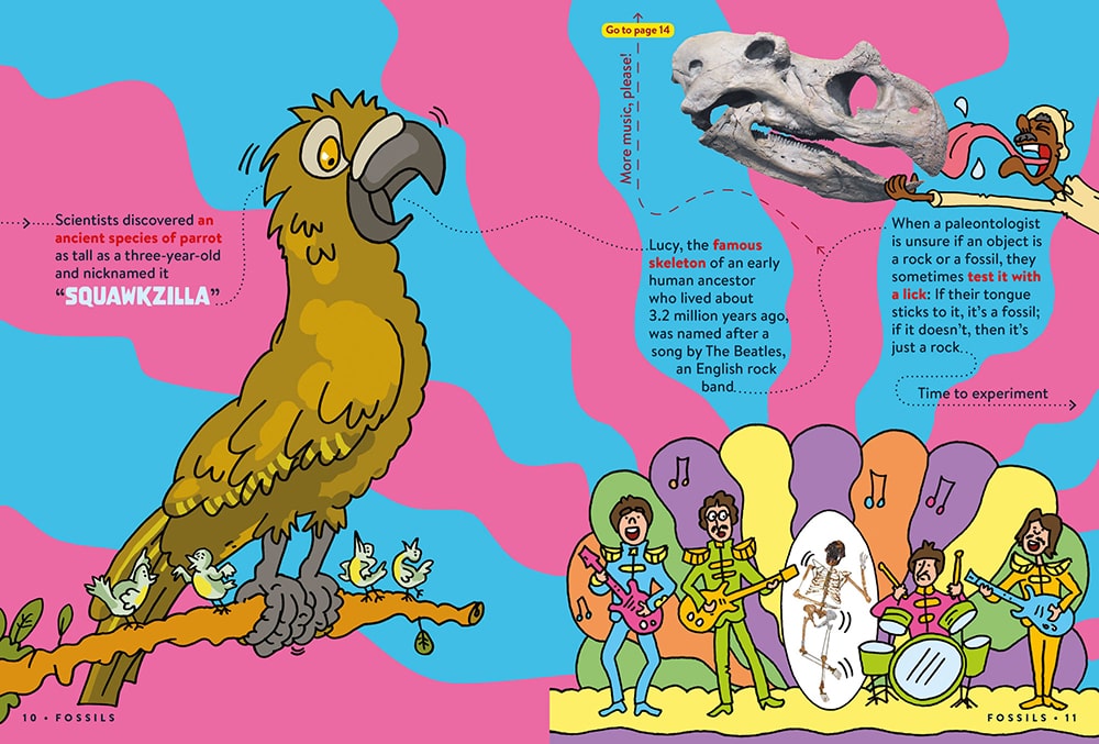 An interior spread from Science FACTopia with 3 facts about fossils. Text is designed around colorful artwork connected to the facts.