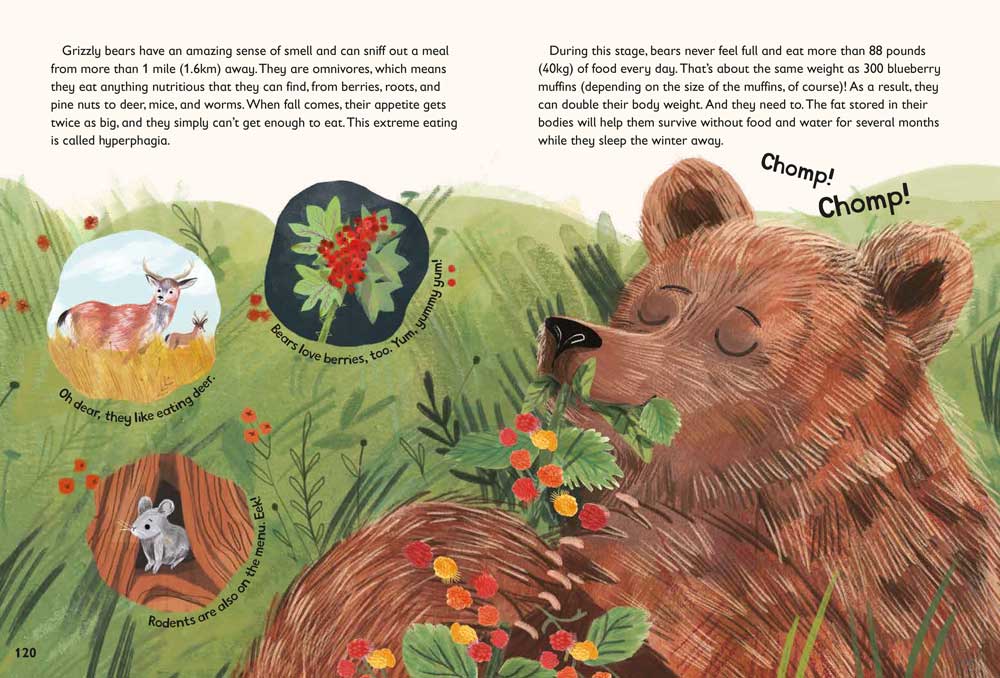 A spread from 5-Minute Really True Stories about bears and hibernation.