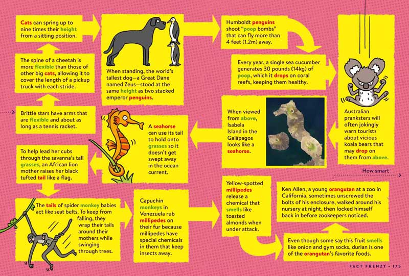 A spread from Animal FACTopia! with over 10 connected facts.