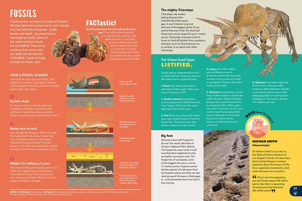 A spread from Britannica All New Kids Encyclopedia about fossils 