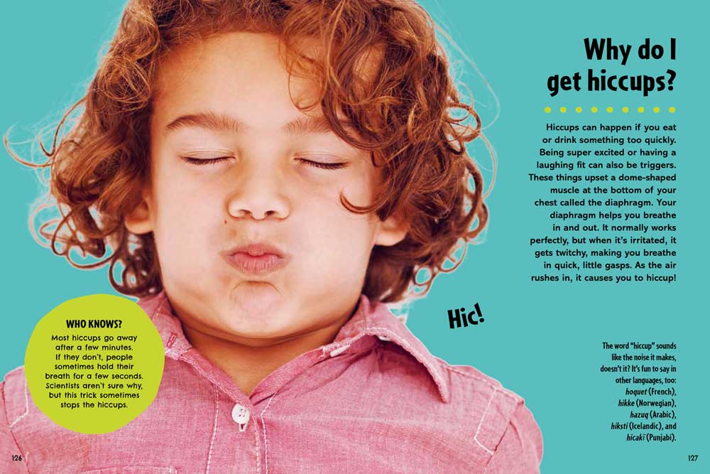 A spread from Britannica's Big Book of Why about why people get hiccups. 