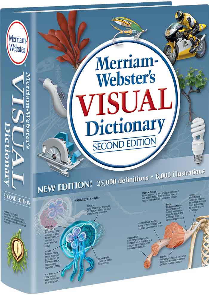 Merriam-Webster's Visual Dictionary, Second Edition 3D cover
