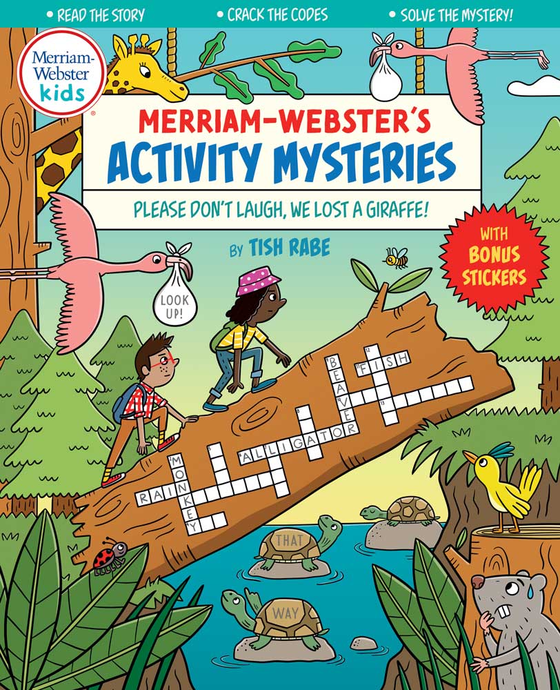 Activity Mysteries Series